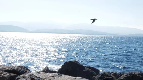 Seside with view of Hills Stock Footage 123775140