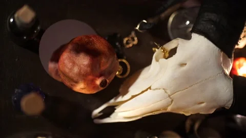 Session of black magic with the skull of a goat by candlelight 스톡 동영상 132671955