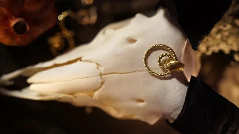 Session of black magic with the skull of a goat by candlelight 스톡 동영상 132671989