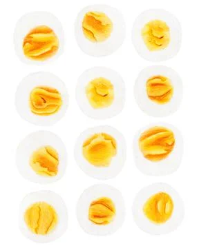 Set of 12 Eggs Illustration Egg Drawing Egg Illustration Stock Illustration