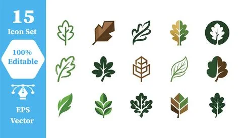 Set of 15 leaf and tree foliage icons with botanical environmental collection Stock Illustration