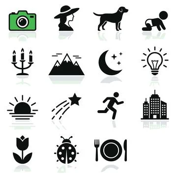 Set of 16 diverse black and white vector icons including camera, woman prof.. 库存插图