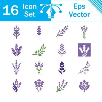 Set of 16 vector lavender flower icons and botanical symbols with plant set 스톡 일러스트