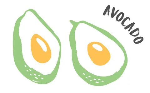 Set of 2 avocado cut in half hand painted with ink brush Stock Illustration