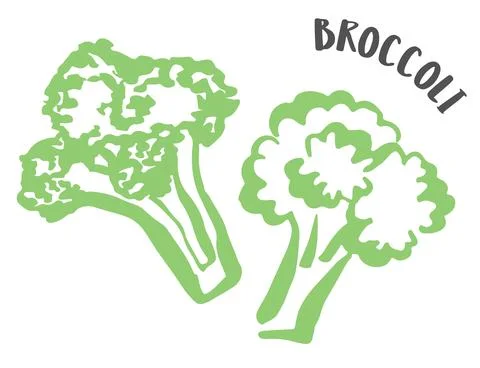 Set of 2 Broccoli hand painted with ink brush isolated on white background Stock Illustration