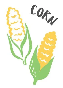 Set of 2 corn cobs hand painted with ink brush Stock Illustration