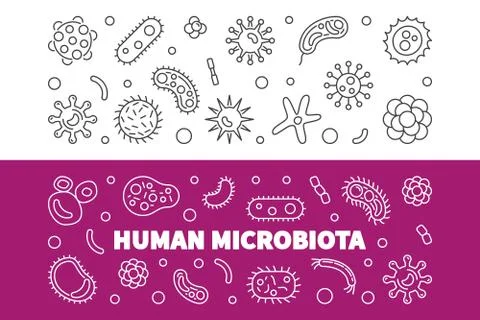 Set of 2 Human microbiota line banners. Vector illustration 스톡 일러스트
