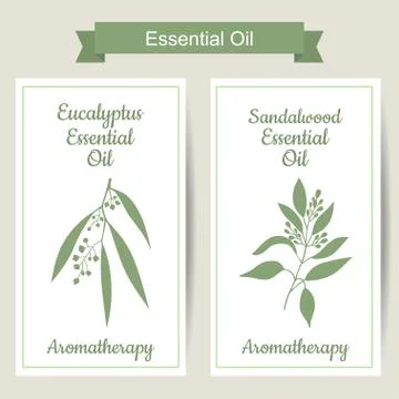 Set of 2 labels with Eucalyptus and sandalwood Stock Illustration