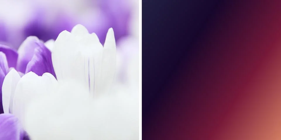 Set 2 of pink creative abstract grunge background. illustration digital.; Stock Illustration