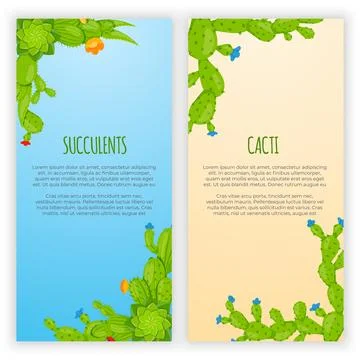 Set of 2 vertical banners with cactuses and succulents. Home cactus plants .. Stock Illustration
