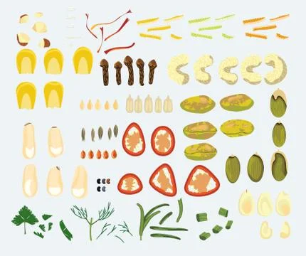 Set of 23 spices Stock Illustration