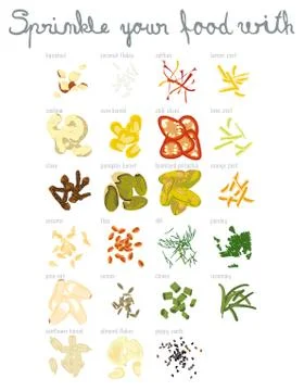 Set of 23 spices Stock Illustration