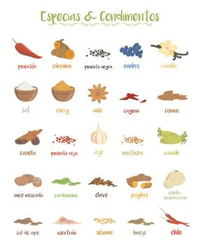 Set of 25 different culinary species and condiments in cartoon style. Spani.. Stock Illustration