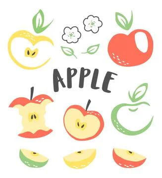 Set of 3 apples hand painted with ink brush Stock Illustration