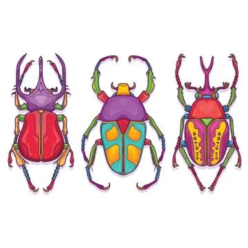 Set of 3 Beetle Bugs, Insect Colorful Hand Drawn Stock Illustration