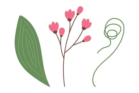 Set of 3 botanical design elements with spathiphyllum leaf, blossom and curled 스톡 일러스트