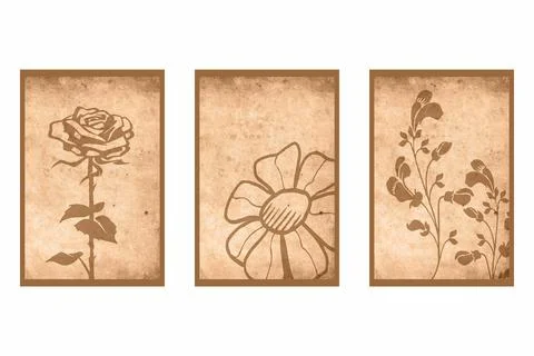 Set of 3 botanical posters. Stock Illustration