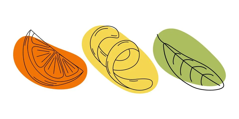 Set of 3 elements lemon zest, orange slice and green leaf with colorful abstract Stock Illustration