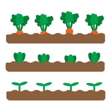 Set of 3 garden beds with different growing vegetables and plants. Flat spring Stock Illustration