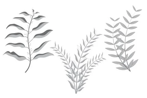 Set of 3 Handdrawn abstract natural leafs design, botnical art floral eleme.. Ilustración de archivo