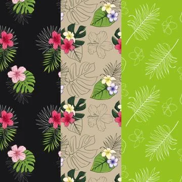 Set of 3 seamless patterns with tropical designs. Pattern with tropical plants. Stock Illustration
