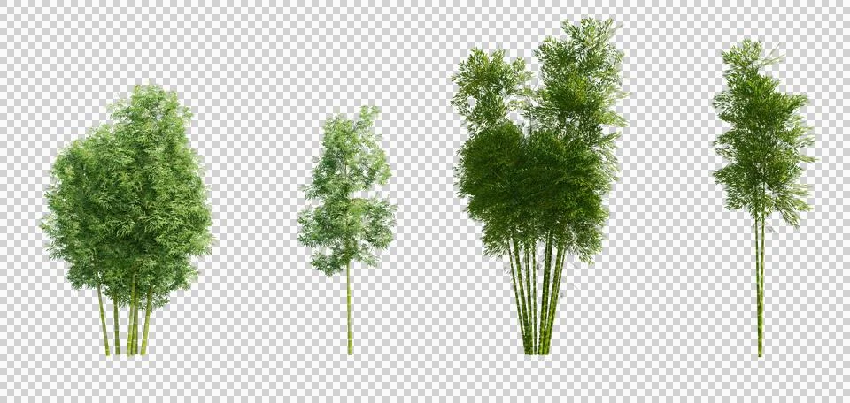 Set of 3D bamboo cluster isolated on PNGs transparent background, Stock Illustration