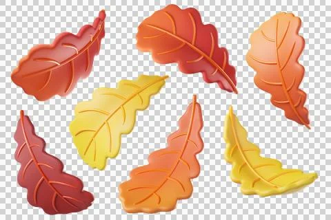 Set of 3D fall autumn oak leaves in orange, red and yellow colors Stock Illustration