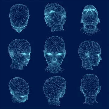 Set of 3D Female Polygon Wireframe Head. Vector illustration. Stock Illustration