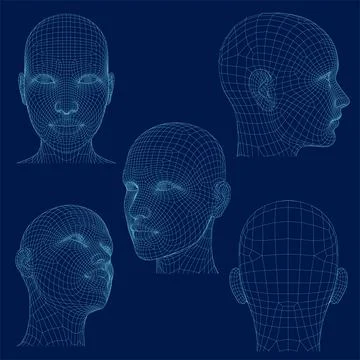 Set of 3D Female Polygon Wireframe Head. Vector illustration. Stock Illustration
