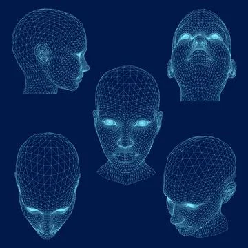 Set of 3D Female Polygon Wireframe Head. Vector illustration. Stock Illustration