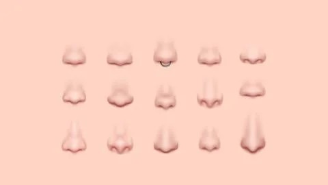 Set of 3D Noses. Isolated Face Part Stock Illustration