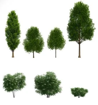 Set of 3D trees and bushes isolated on white background Stock Illustration