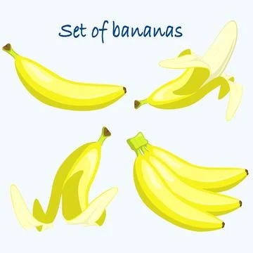 Set with 4 Bananas in flat style. Vector illustration isolated on white Stock Illustration