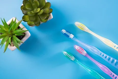 Set of 4 new plastic toothbrushes Stock Photos