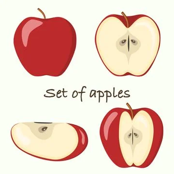 Set of 4 Red apple half apple, fruit slices and pieces in cartoon style. Healthy Stock Illustration