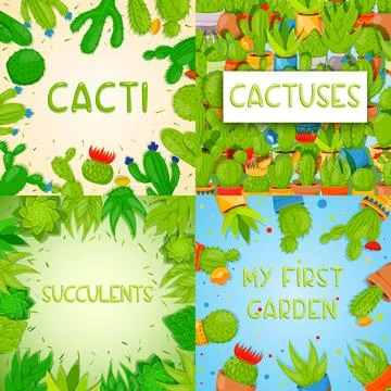 Set of 4 square banner templates with cactuses and succulents. Home cactus .. Stock Illustration