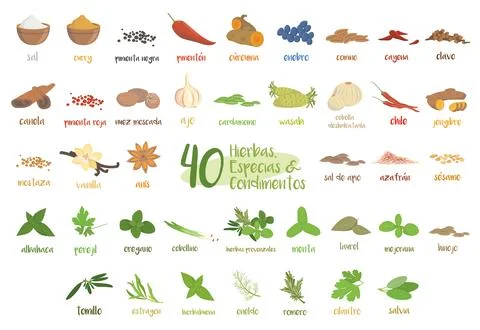 Set of 40 different culinary herbs, species and condiments in cartoon style.. Stock Illustration