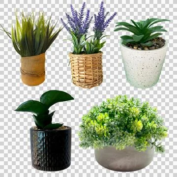 Set of 5 Artificial Potted Plants Isolated on Transparent Background Stock-Fotos
