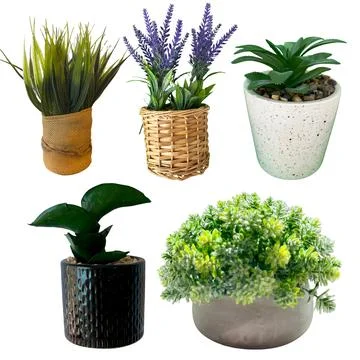 Set of 5 Artificial Potted Plants Isolated on White Background Stock-Fotos