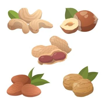 Set of 5 pieces of different types of nuts on a white background - Vector Stock Illustration