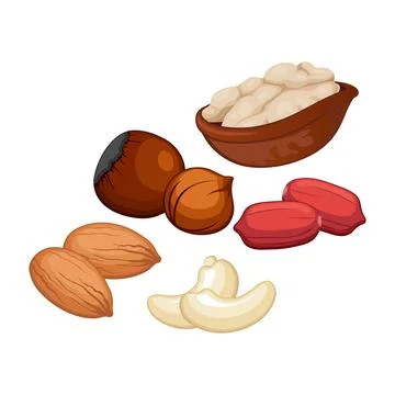 Set of 5 pieces of different types of nuts on a white background Stock Illustration