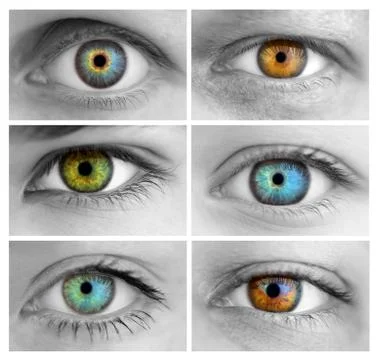 Set of 6 colorful different open eyes / huge size Stock Illustration