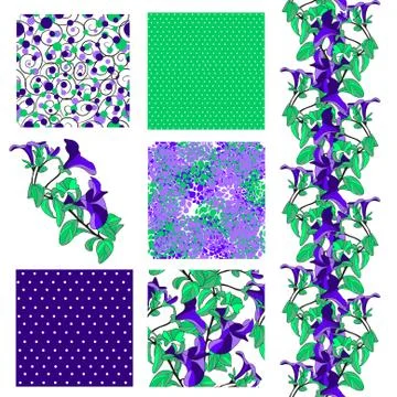 Set of 6 elegant seamless patterns with decorative violets, design elements イラスト素材