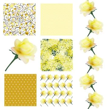Set of 6 elegant seamless patterns with decorative yellow roses, design elements イラスト素材