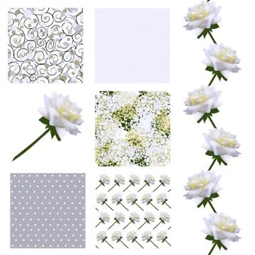 Set of 6 elegant seamless patterns with decorative white roses, design elements イラスト素材