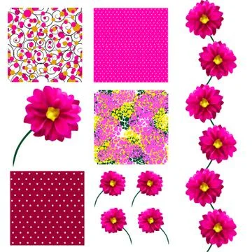 Set of 6 elegant seamless patterns with decorative pink dahlias, design elements Stock Illustration