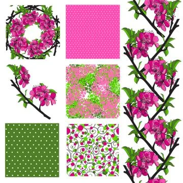 Set of 6 seamless patterns with decorative cherry blossom, design elements 스톡 일러스트