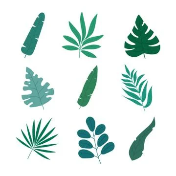 Set of 9 different leaves in modern colored flat style, isolated on white bac Stock Illustration
