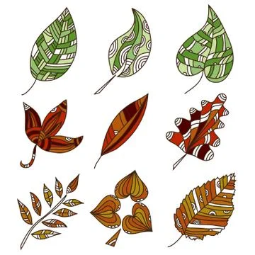 Set of 9 hand drawn decorative leaves, design elements Stock Illustration