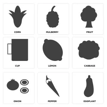 Set Of 9 simple editable icons Stock Illustration